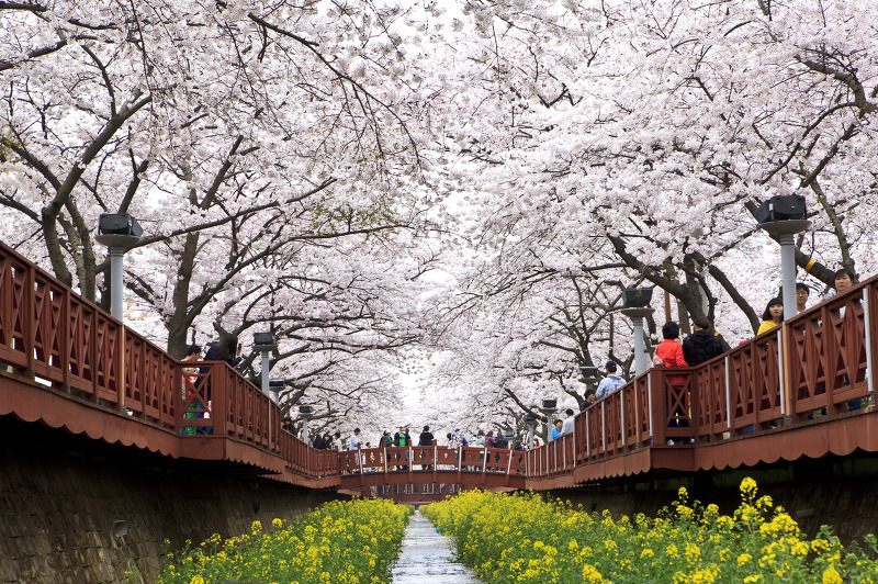 경상남도.jpg