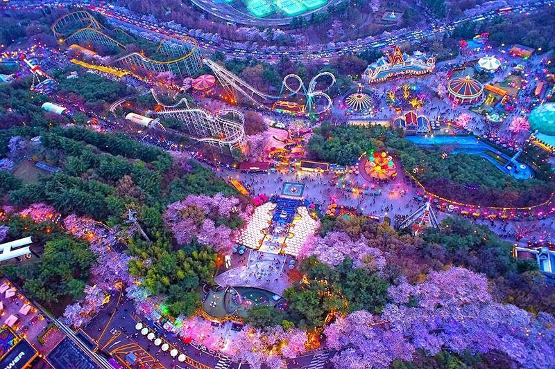 대구.jpg