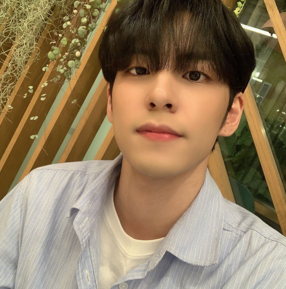 작성자